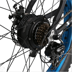 Ecotric Electric Bikes Ecotric Fat Tire Beach Snow Electric Bike FAT26S900USB
