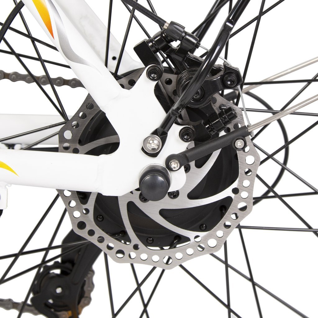 Ecotric Electric Bikes Ecotric Peacedove Electric City Bike