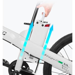 Ecotric Electric Bikes Ecotric Seagull Electric Mountain Bike SEAGULL26S900USB