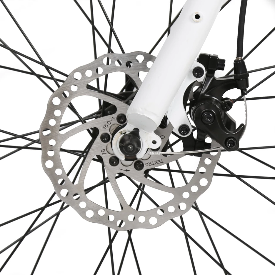 Ecotric Electric Bikes Ecotric Vortex Electric City Bike
