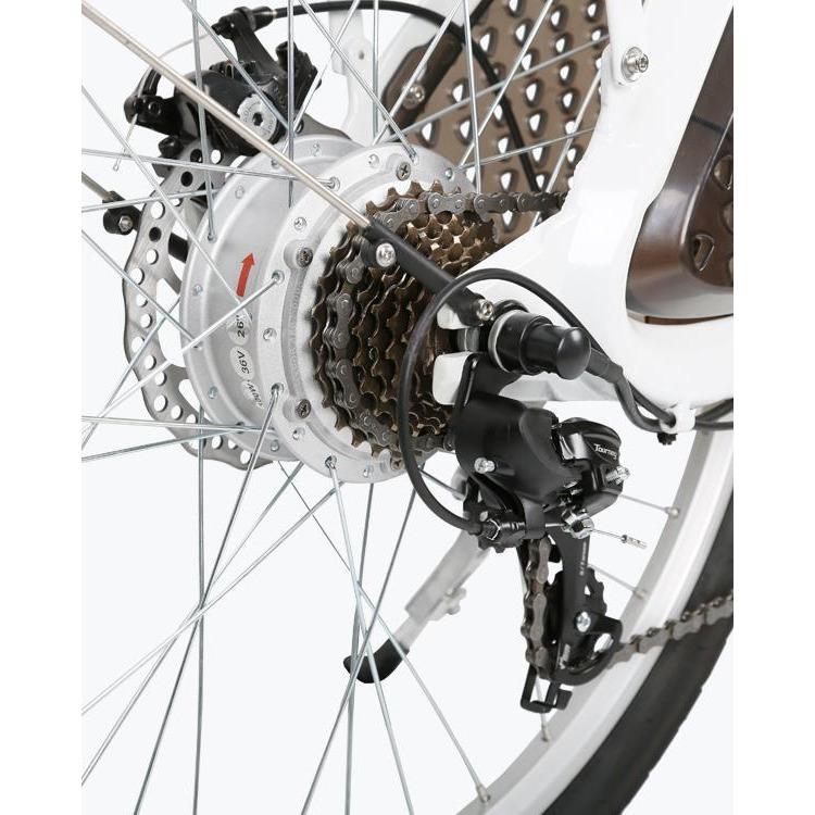 Ecotric Electric Bikes In Stock Ecotric Lark Electric City Bike For Women LARK26-W