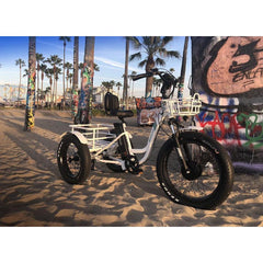 Emojo Electric Trikes Emojo Caddy Pro 48V 500W Electric Trike Fat Tire